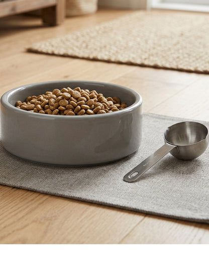 Blnkg Weighted Ceramic Dog Bowl Stone 24 oz