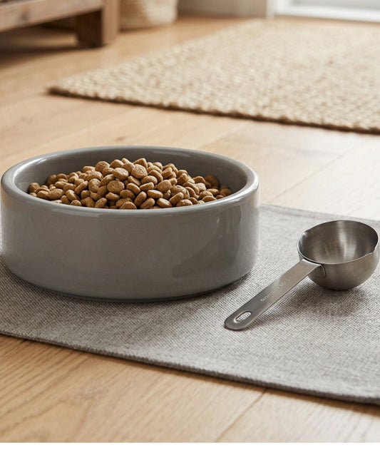 Blnkg Weighted Ceramic Dog Bowl Stone 24 oz